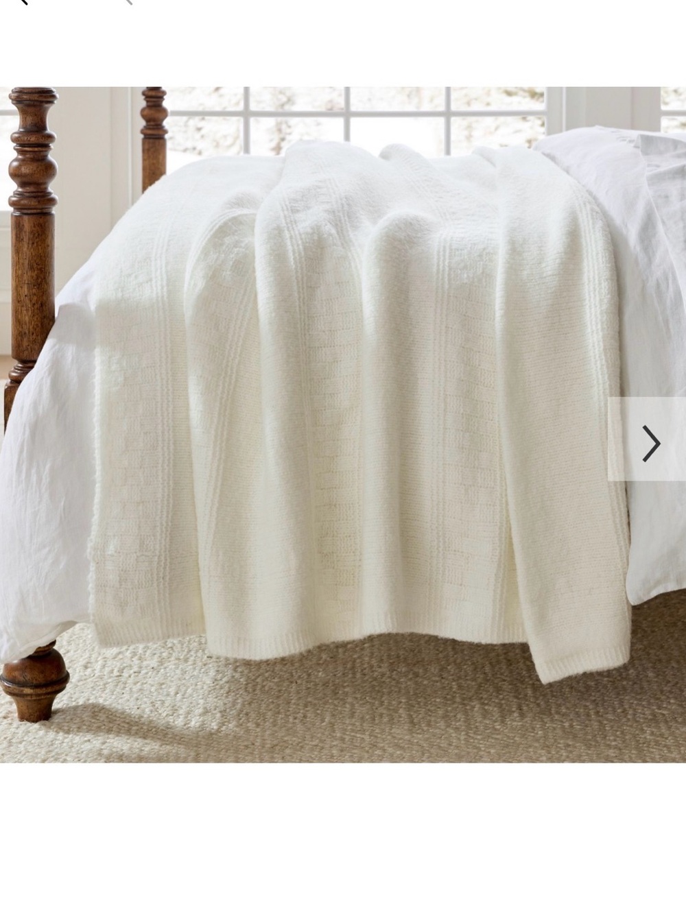 NWT Pottery Barn Arden Blanket